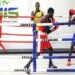 2023 Pacific Games: Local Boxers to Compete in 10 Weight Categories