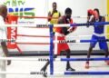 2023 Pacific Games: Local Boxers to Compete in 10 Weight Categories