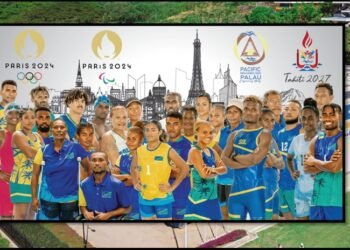 NSC Act Requires All NFs to Register Before Accessing SINIS Facilities