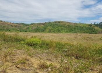 Ministry of Home Affairs and Guadalcanal Province Progress Discussion on G-Province Sporting Facility