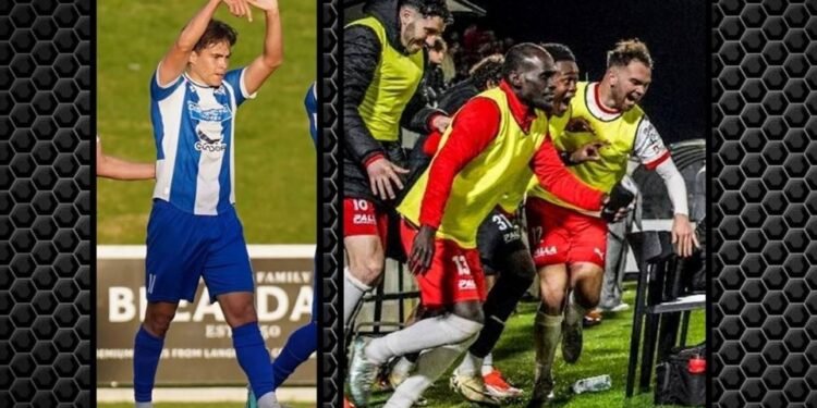 Boyers and David Crowned Champions