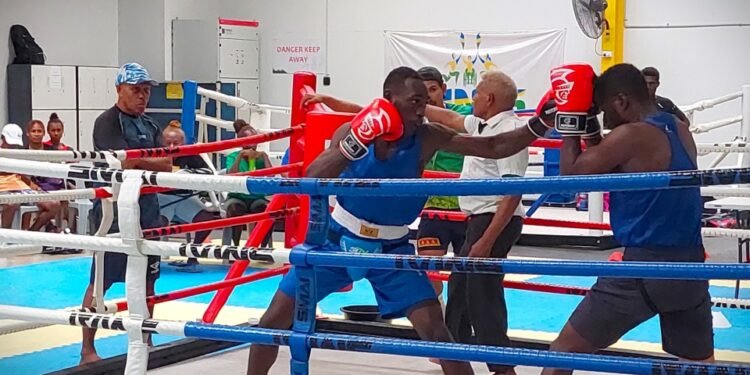 Solomon Islands Boxer Ozward Prepares for Ring Fight