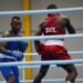 Max is Very Talented; Train More and Seek God: Fijian Gold Medalist Boxer Davule